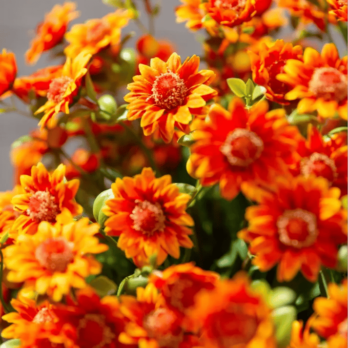 💥Siste dag! Kun 26 NOK per stk – Kunstige utendørsblomster “Sunset Mums” – UV-bestandige, vanntette og vindtette