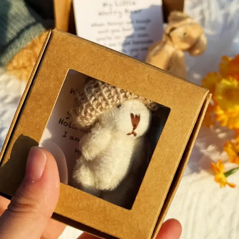 🎁Håndlaget mini plysjbamse i eske