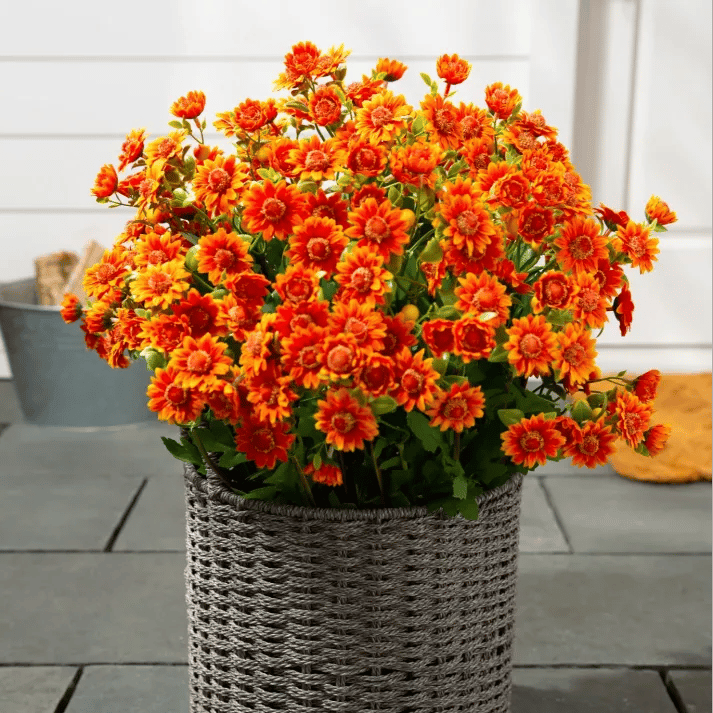 💥Siste dag! Kun 26 NOK per stk – Kunstige utendørsblomster “Sunset Mums” – UV-bestandige, vanntette og vindtette